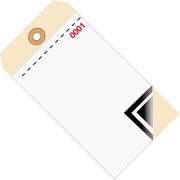 Inventory Tags 3 Part Blank w/Carbon
