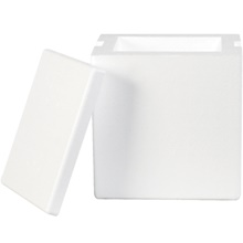 8 x 6 x 9" Insulated Foam Containers