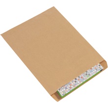 Kraft Flat Merchandise Bags