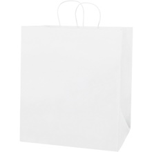 14  x 10  x 15 3/4" White Paper Shopping Bags