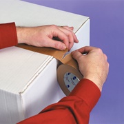 Flatback