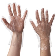 Food Service Gloves