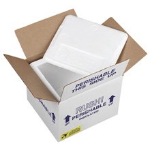 7" x 6" x 5 1/2" Overnite Insulated Shipper - 3/4" Foam Wall
