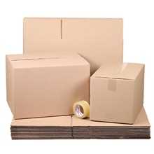 Small Moving Kit