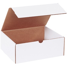 10 1/4 x 8 1/4 x 4" White Literature Mailer