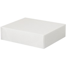 11 1/8 x 9 1/2 x 3" Stationery Folding Cartons