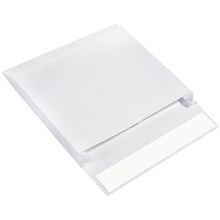 Expandable Ship-Lite® Envelopes