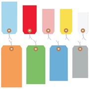 13 Pt. Shipping Tags - Colors Pre-Wired